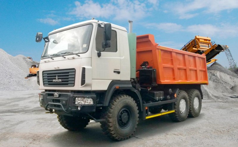 МАЗ 6501 с9