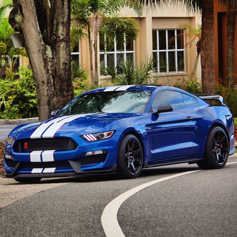 Форд Мустанг gt 350