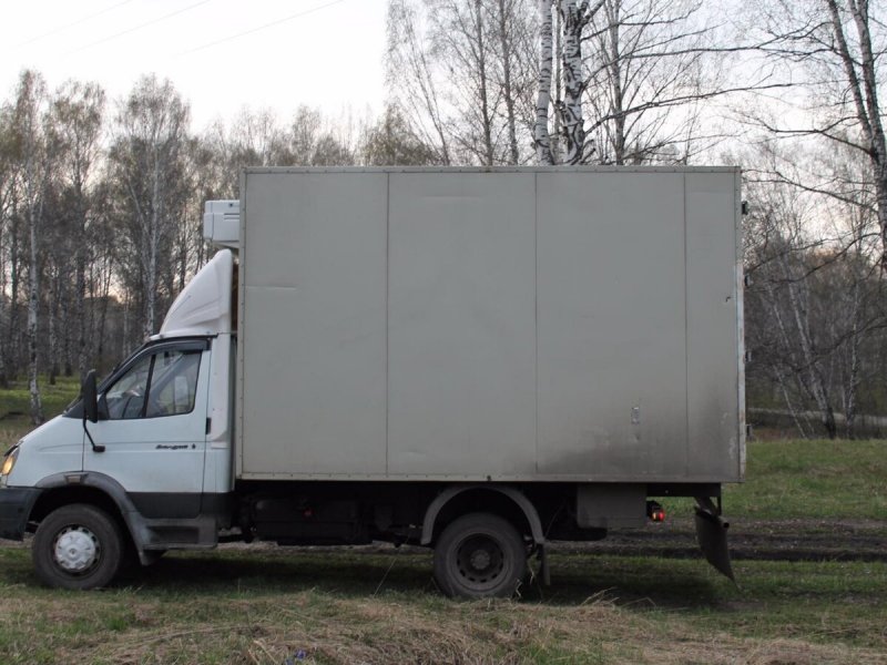 Валдай 33106