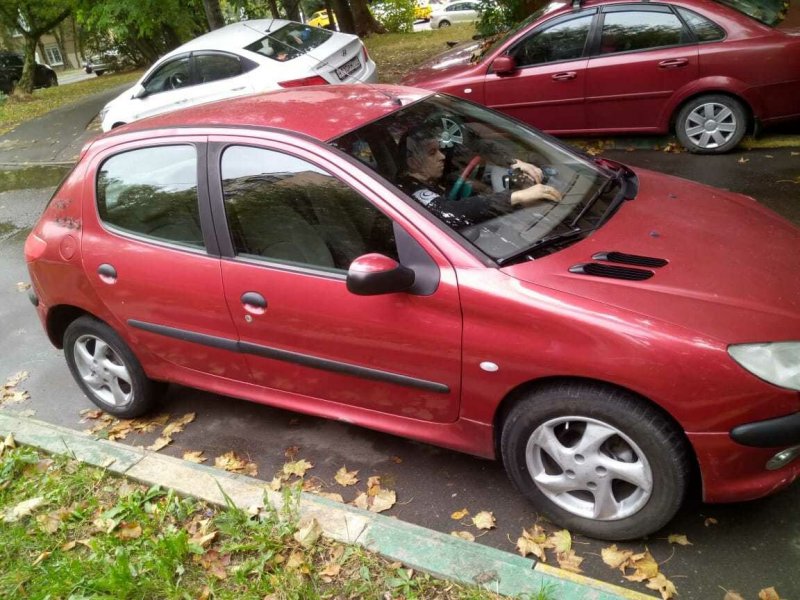 Peugeot 206 SW