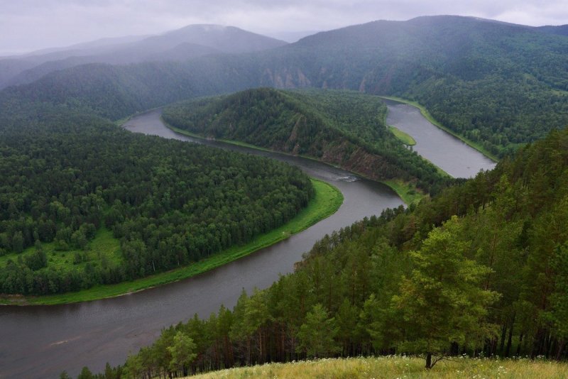 Урман Красноярский край