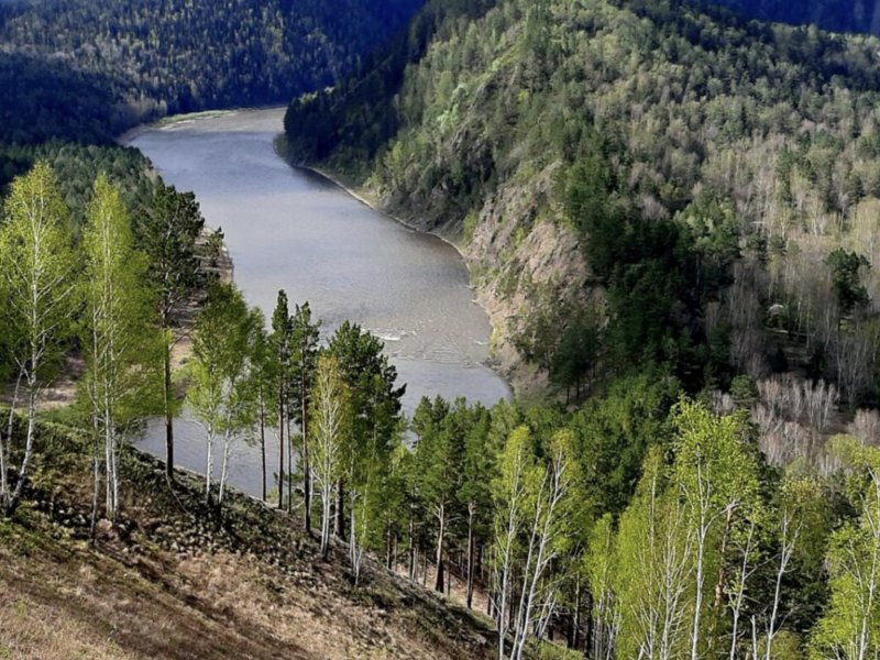 Посёлок Береть Красноярский