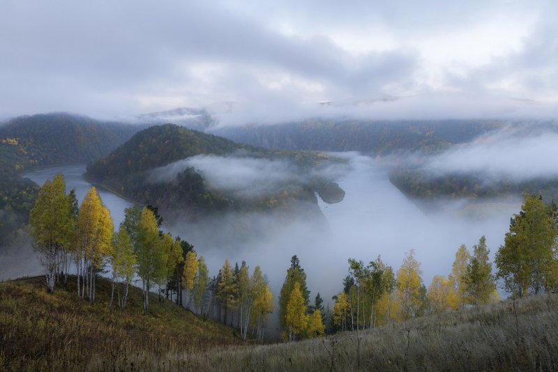 Устье реки Базаиха