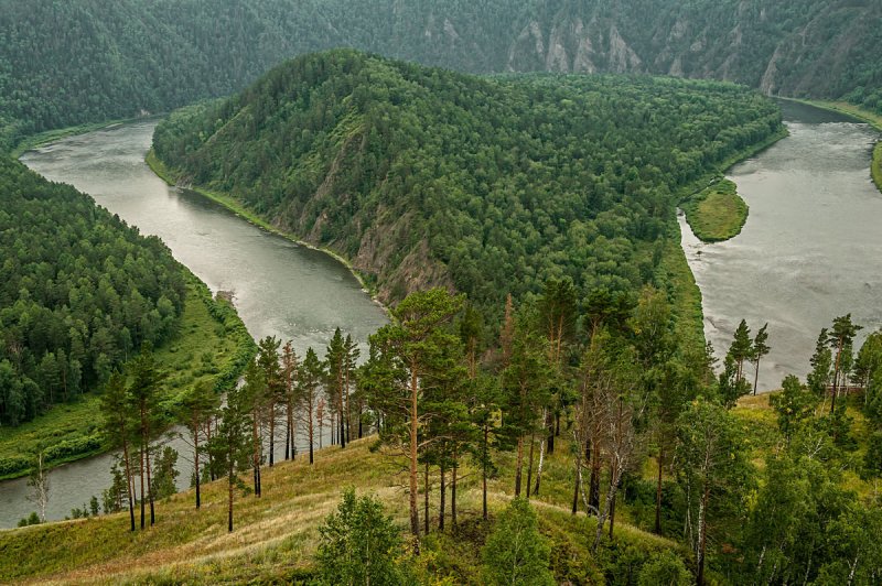 Тайга река Енисей