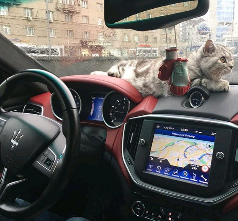 Руль Мазерати