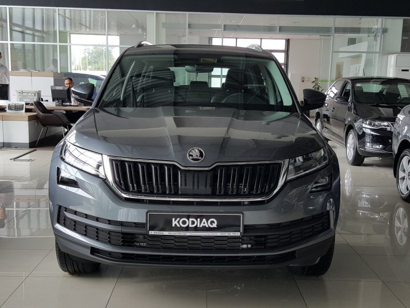Škoda Kodiaq серый