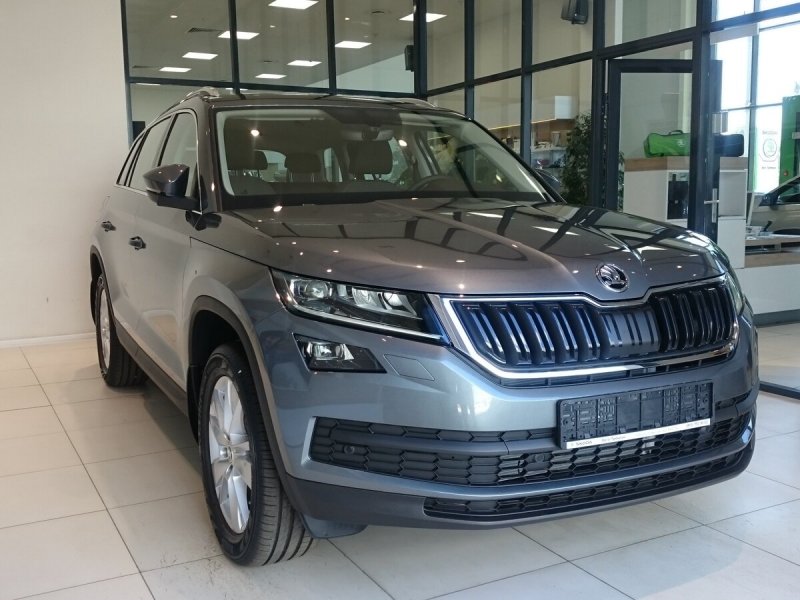 Skoda Kodiaq Grey