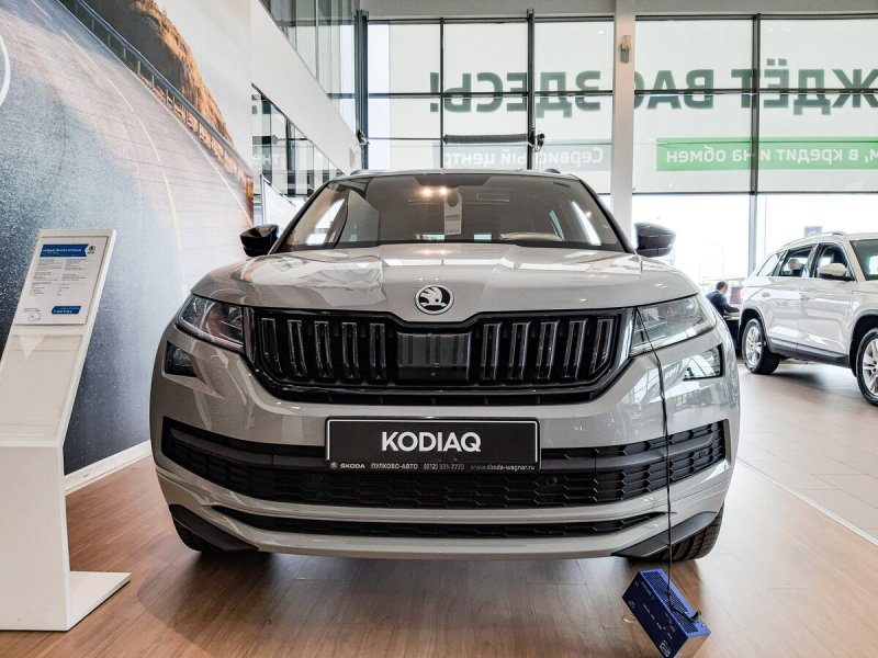 Skoda Kodiaq 2019 синий