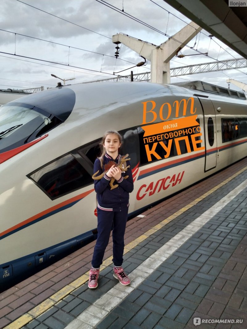 Сапсан детское купе 10 вагон