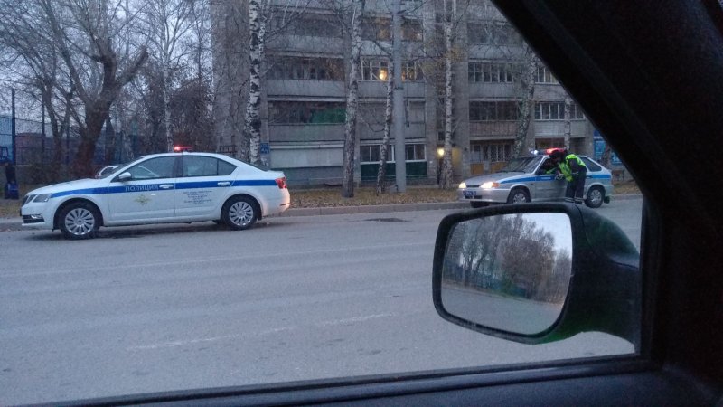 Шкода ДПС вид сзади