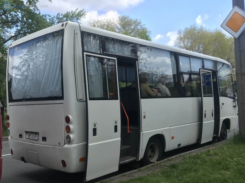 МАЗ-256 автобус