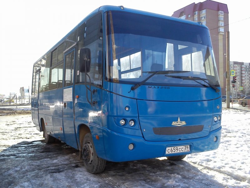МАЗ-256 автобус Украина