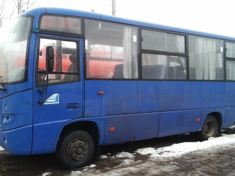 МАЗ-256 автобус