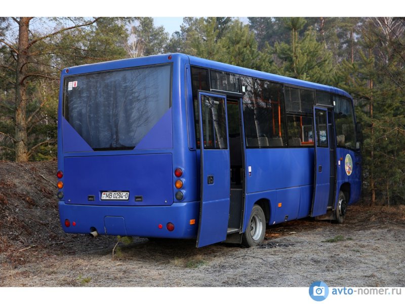 Личинка автобуса МАЗ-256