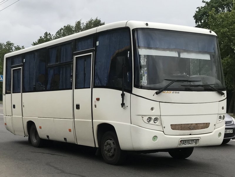 МАЗ-256 автобус