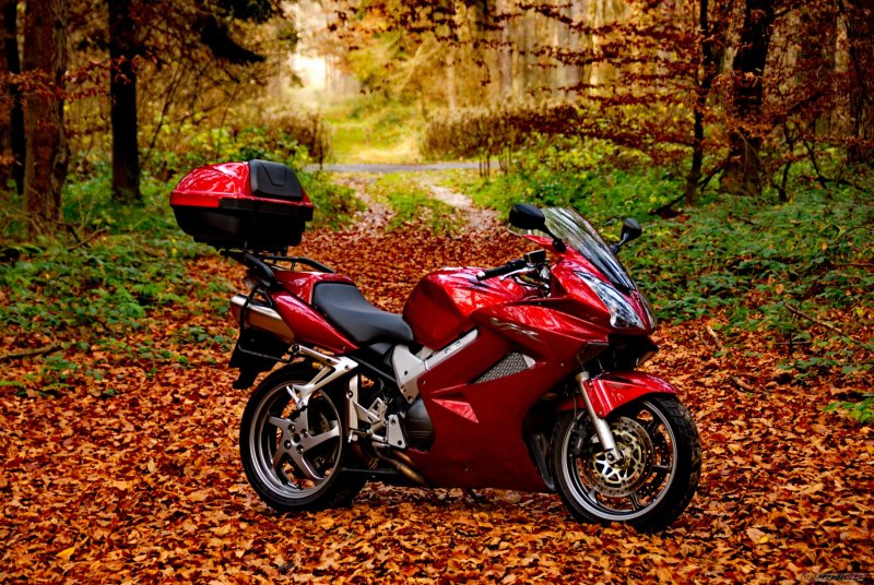 Honda VFR 800