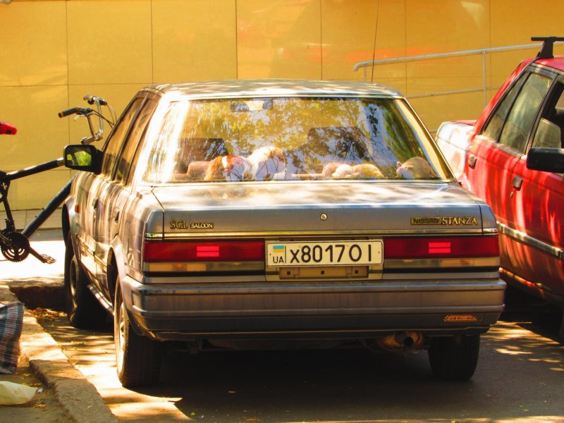 Nissan Bluebird 1989