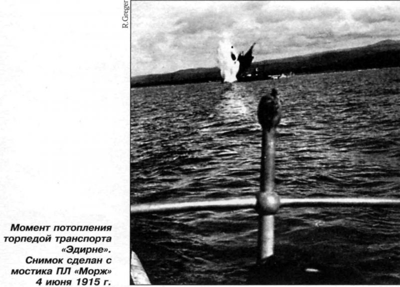 Морж Миша Приморский океанариум