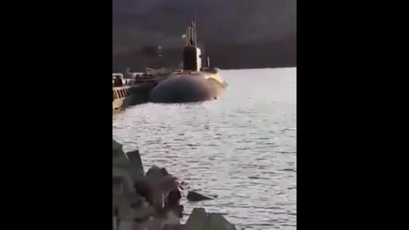 Белые медведи и пингвины живут