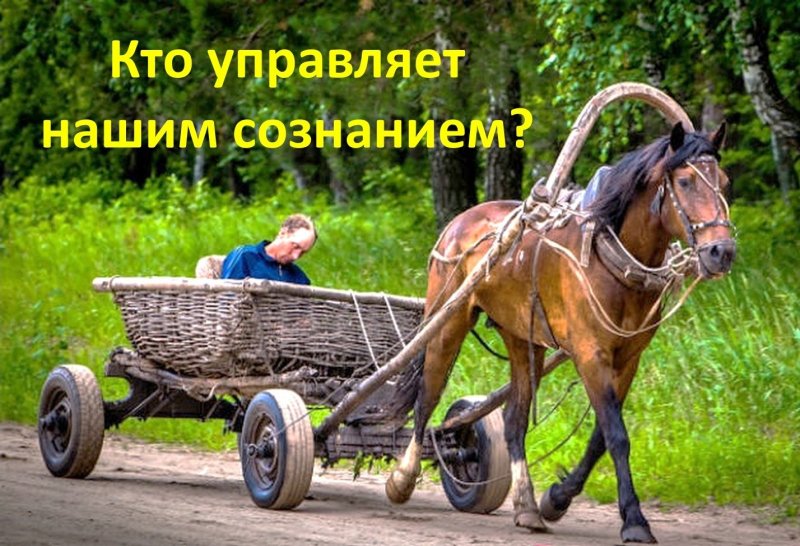 Телега для лошади