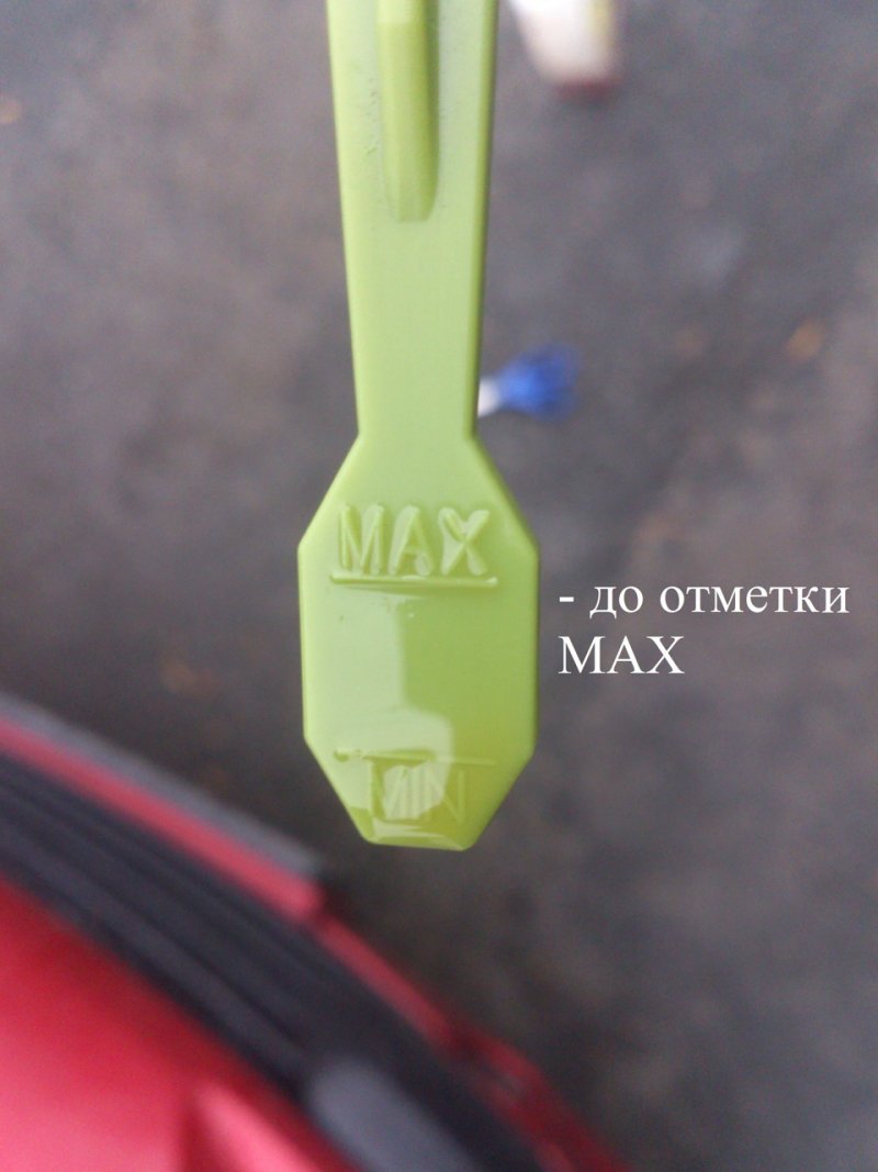 Уровень масла в трехлитровом двигателе автомобиля Пежо
