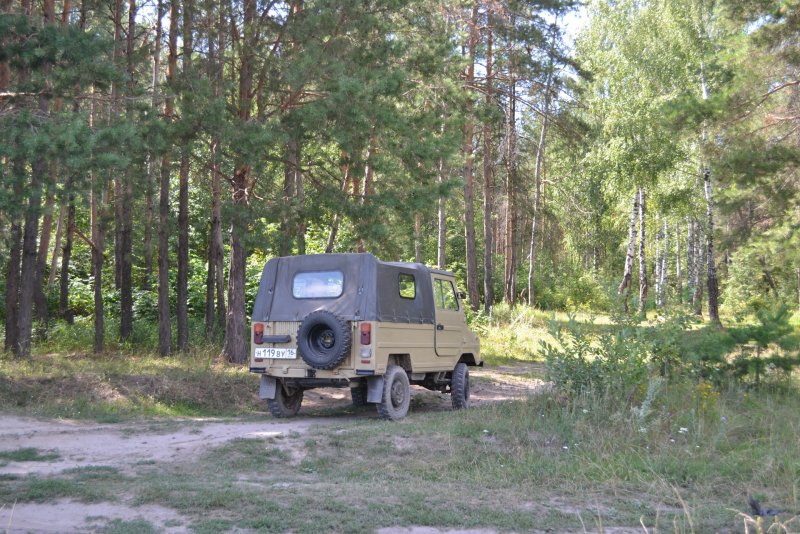 ЛУАЗ 3102 Волынь