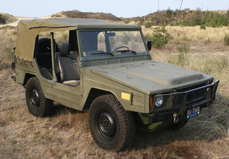 Volkswagen 183