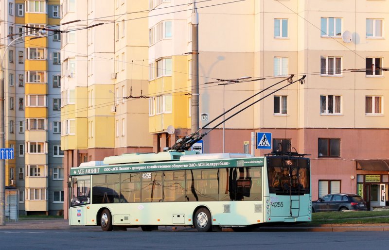 МАЗ 103 сзади