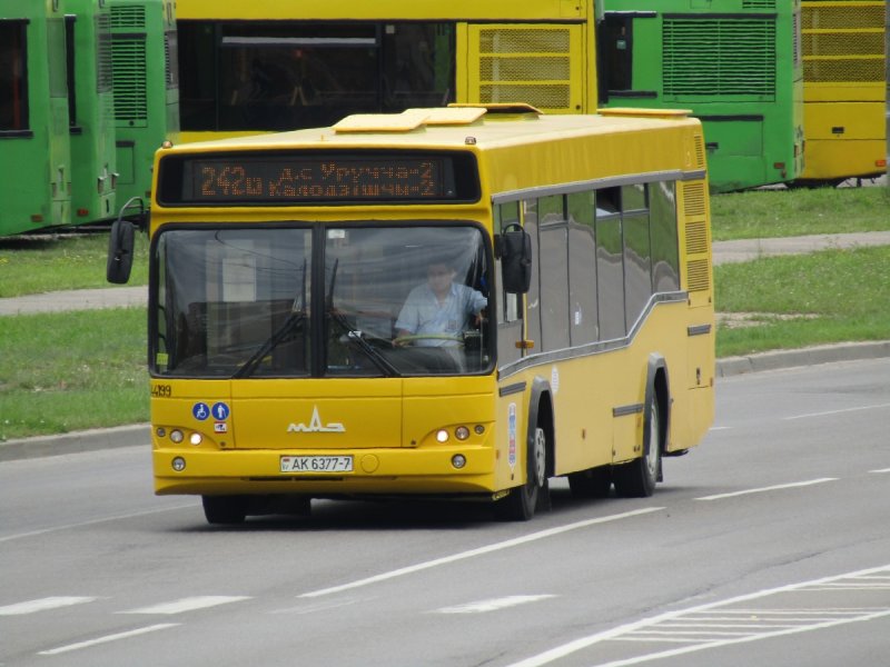 Автобус МАЗ 103
