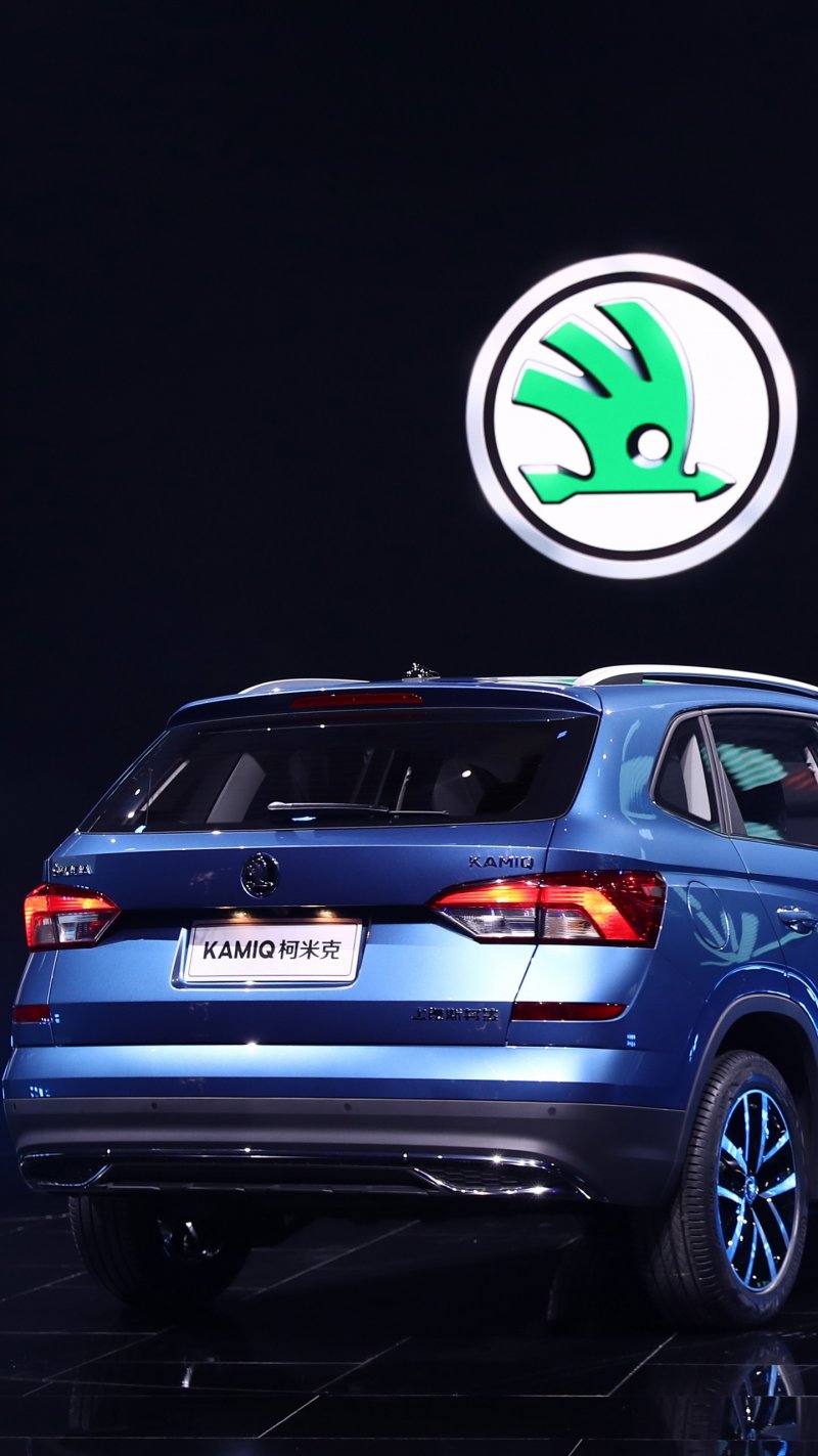 Skoda Kamiq 2014