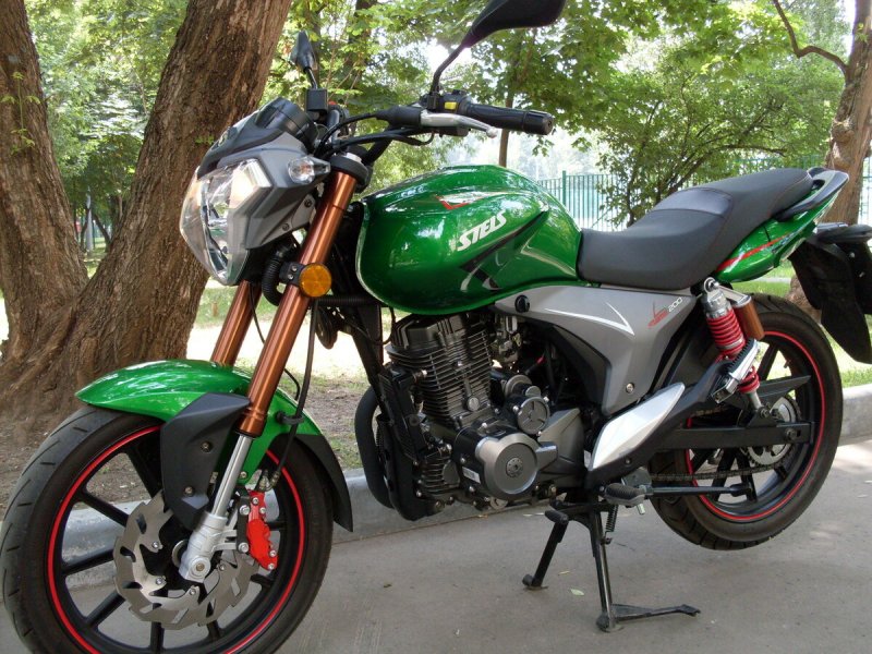 Stels Флейм 200