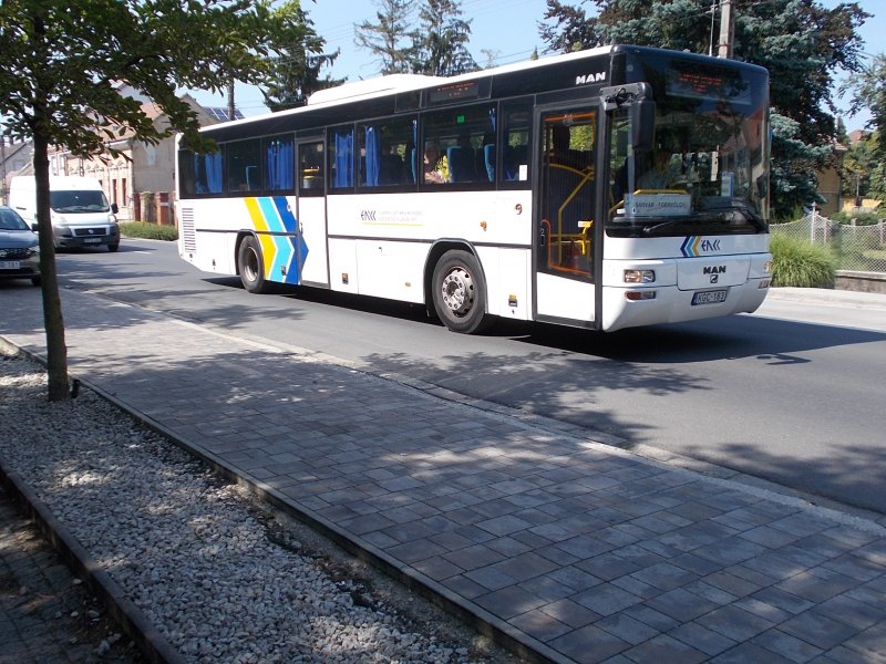 41 Автобус Белгород