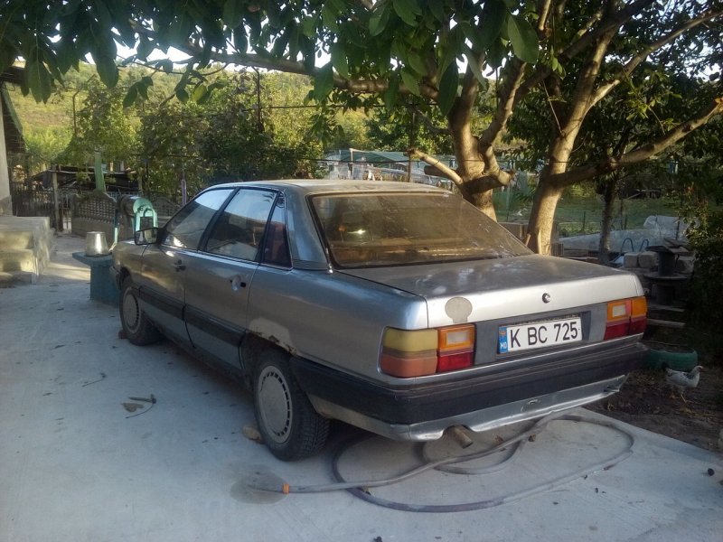 Ауди 100 сигара с бананами
