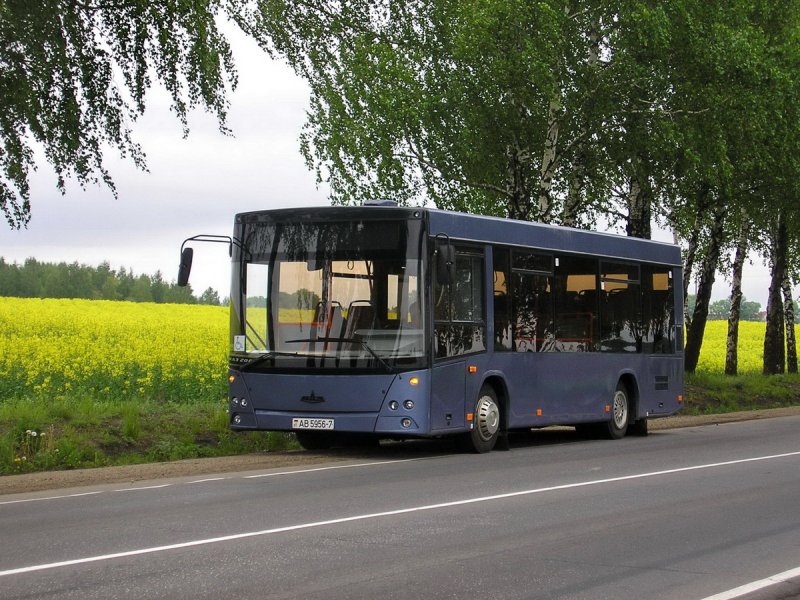 МАЗ 206086