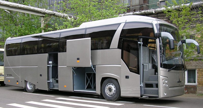 МАЗ 251