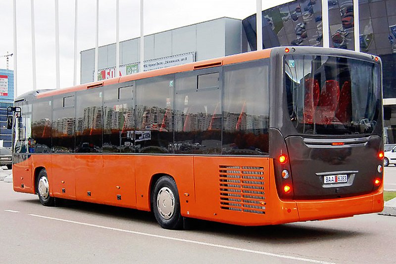 МАЗ 231062 51