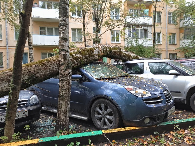 Машина во дворе