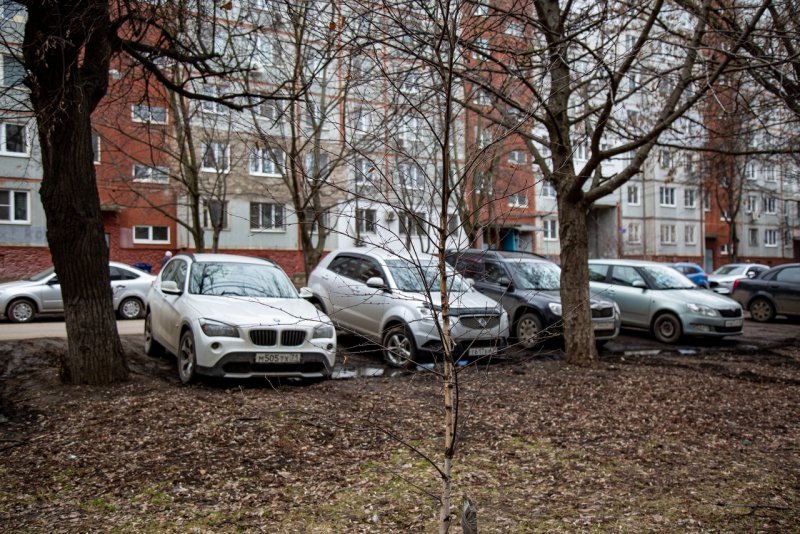 Парковка на газоне