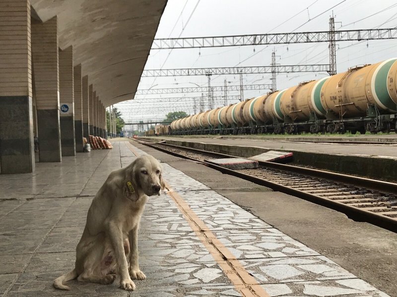 Железная дорога в Батуми