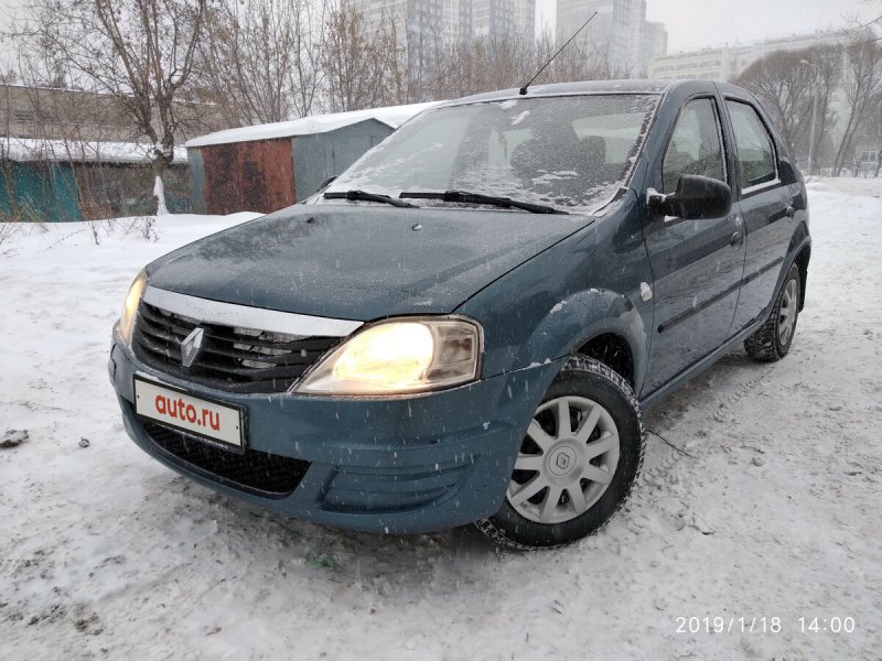 Цвет 31 торг