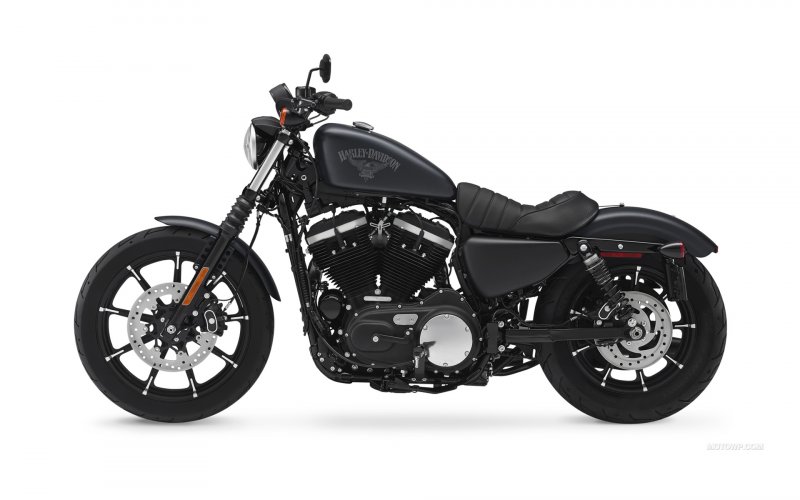 Harley Davidson Sportster 883 лого