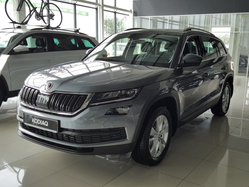 Skoda Kodiak 2019 серый