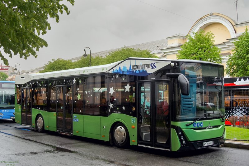 Новые автобусы МАЗ 303