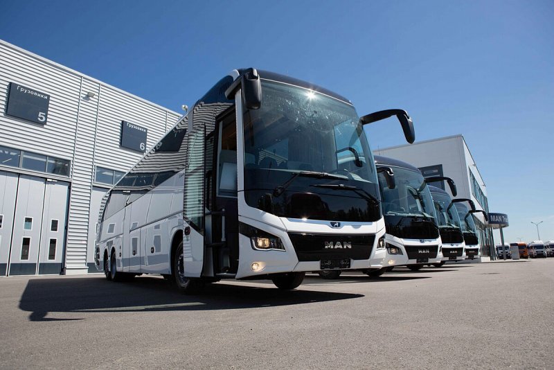 Ман Lion`s coach l r08
