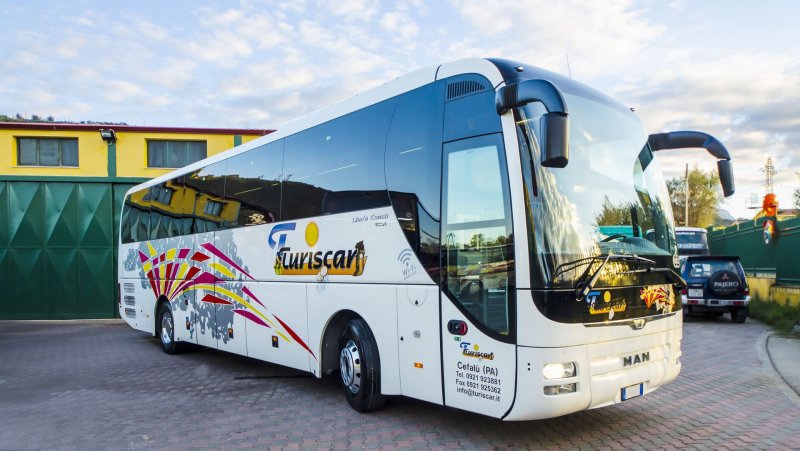 Man Lion's coach
