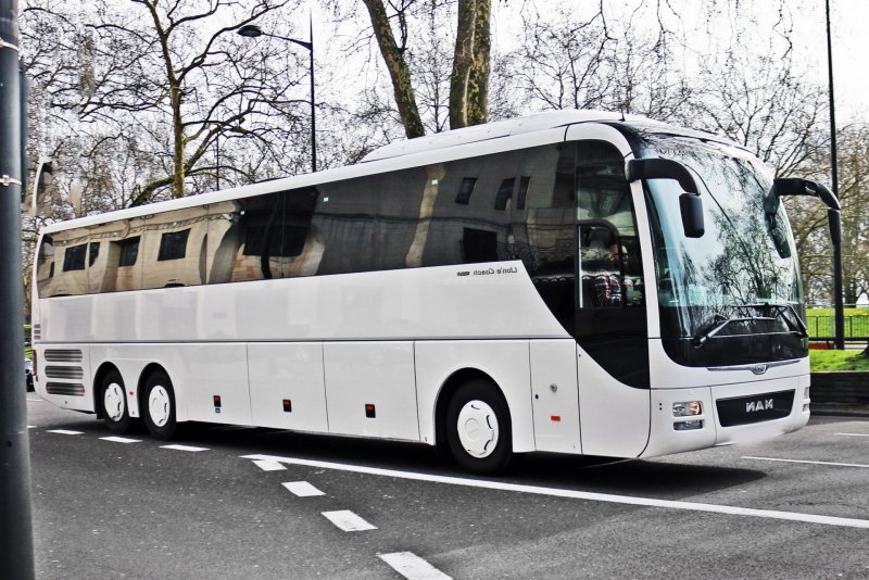 Man Lion's coach 2019