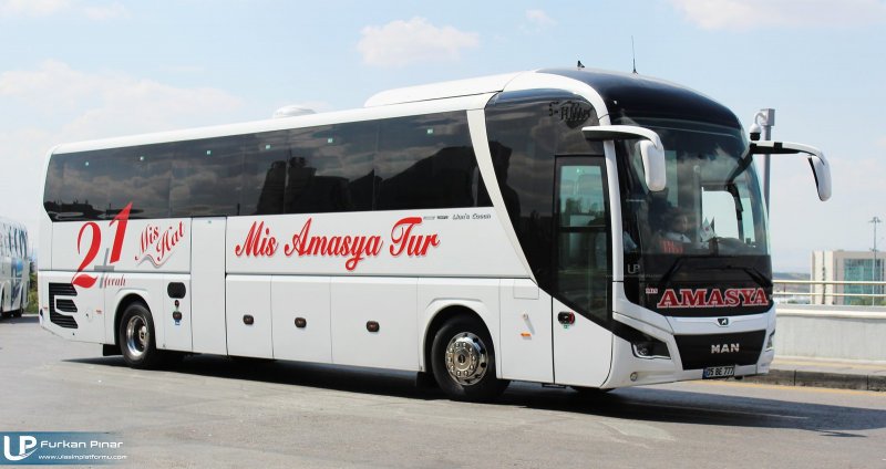 Man Lion's coach Тамбов