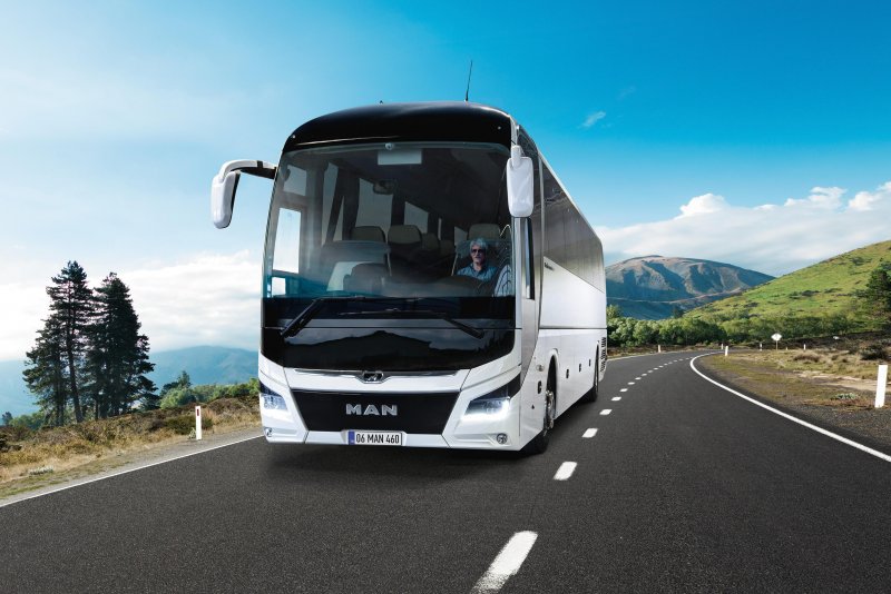 Man Lion's coach 2019