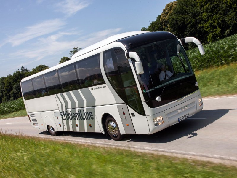 Man Lion's coach 2018