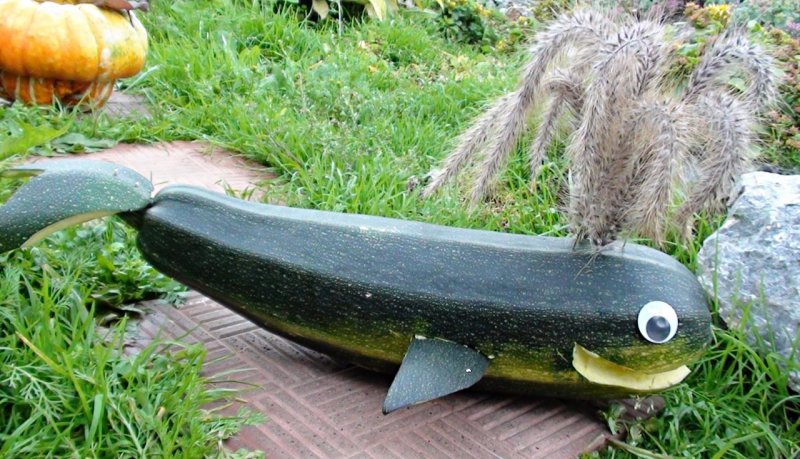Поделка из кабачка и моркови